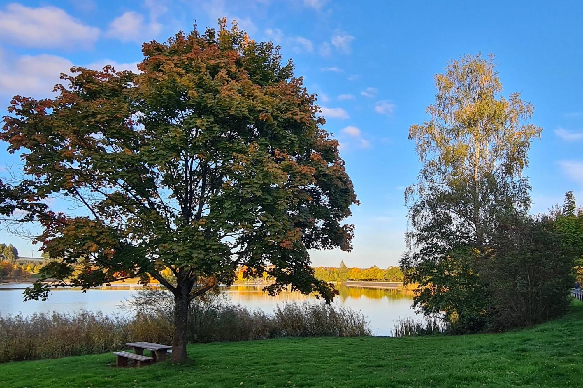 Draussen Am See Losheim Kültér fotó